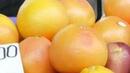 Яжте портокали и грейпфрути, за да избегнете инсулт