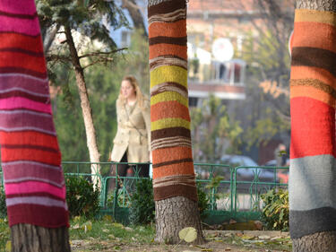 Дърветата в Пловдив надянаха цветни одежди