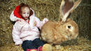 Уникалната среща на най-малкото момиче на света с най-големия заек (СНИМКИ)