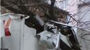 100-годишна липа едва не срути сграда във Видин