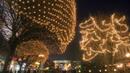 Коледната елха в София грейва на 1 декември