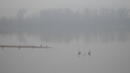 Ад по Дунав - кораби не се забелязаха от мъгла и се удариха