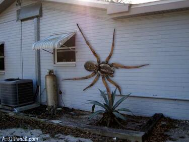 УЖАС: Снимки на огромна 3-метрова тарантула вледениха целия свят!