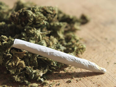 Последиците от легализирането на марихуаната в Колорадо