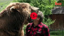 Животното вляво е 3-метрова мечка гризли (ВИДЕО)