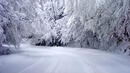 На Шипка натрупа 30 см сняг