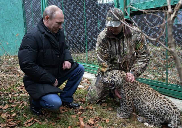 Путин влезе в клетката на леопард (СНИМКИ/ВИДЕО)