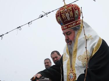 Зарязаха лозята и в Харманли