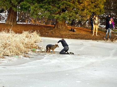 Героят, спасил куче в Южния парк, едва сега споделя с родителите си