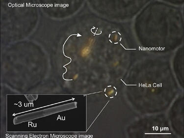 Наномотори заработиха в жива клетка (ВИДЕО)