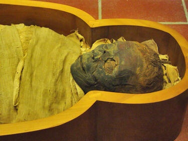 Мумия на 3 600 години „изплува“ от пясъците на Египет