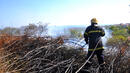 Пожар изпепели 15 декара гора