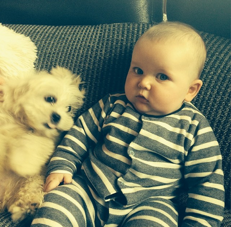 10 първи срещи на бебета с кучета (СНИМКИ)