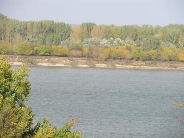 41-годишен мъж изчезна във водите на река Дунав