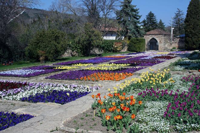 Започна "Парадът на лалетата"