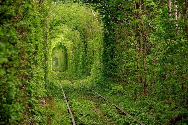 20 тунела, които непременно трябва да видите (СНИМКИ)
