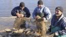 Рибата по родното Черноморие тревожно намалява