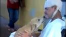 Истинска любов: Куче чака стопанина си 8 дни пред болницата (ВИДЕО)