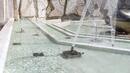 Падналото дете във фонтаните на НДК продължава да е в кома