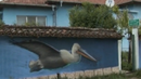 Семейство англичани популяризира резервата Сребърна с графити 