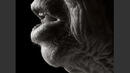 Красотата на 100-годишно тяло в изумителен детайл (СНИМКИ)