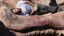 Откриха останки на динозавър, тежащ повече от 100 тона (ВИДЕО)