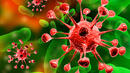 СЗО: 4 смъртоносни вируса върлуват в световен мащаб