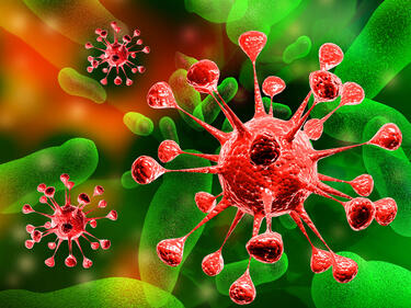Изследователи идентифицираха вещество, което действа срещу коронавирусите