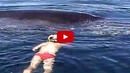 Изключителни кадри демонстрират спасяването на кит, оплел се в рибарска мрежа (ВИДЕО)