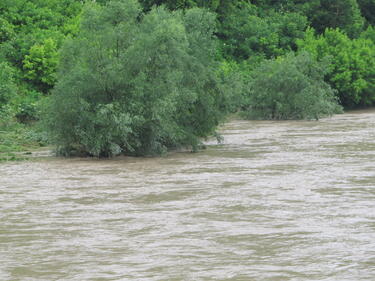 Стотици литри дизел изтече в реката на Смолян