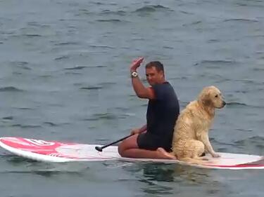 Бургазлия преплува морето на сърф до остров Св. Анастасия с кучето си (ВИДЕО)