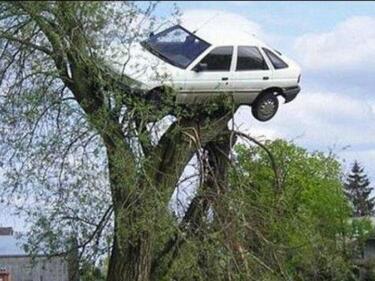 Невероятно: Автомобил кацна на дърво, но не съвсем