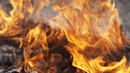 Пожар избухна до помпените станции в Пловдив