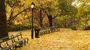Енергоспестяващи лампи за ямболския парк "Боровец"