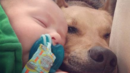 О, колко трогателно! Бебе и куче са неразделни (СНИМКИ)
