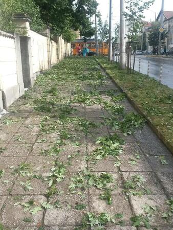 Какво причини градушката на София? 