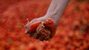 80% от тазгодишните домати и пипер отиват на боклука