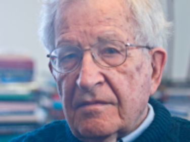 Чомски направи международната общност на пух и прах и защити Палестина