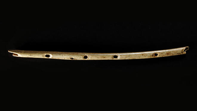 Най-старият музикален интрумент - на 40 000 години