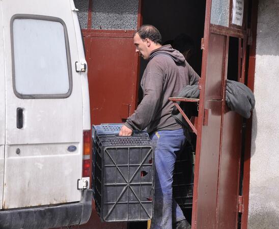 В Хасково затвориха магазин за бракувани козунаци