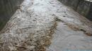 Проливните дъждове унищожиха  огромно количество риба в  Луда Яна 