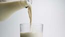 Евтин внос заплашва родните млекопроизводители