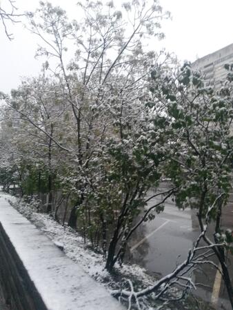 Столицата в бяла премяна (СНИМКИ) 