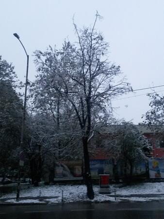 Столицата в бяла премяна (СНИМКИ) 