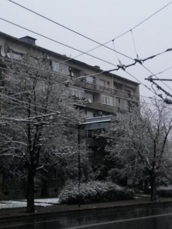 Столицата в бяла премяна (СНИМКИ) 