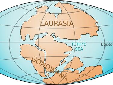 Нови данни за континентите преобръщат географията
