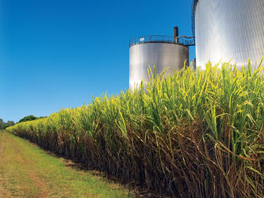 Преминаването на биогориво вещае недостиг на храна
