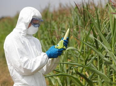 ЕК: Всяка страна в ЕС ще забранява ГМО продукти, но аргументирано