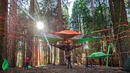 Нов модел палатки „качи“ къмпингуващите по дърветата (СНИМКИ)