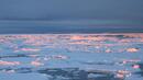 Арктика е по-устойчива на глобалното затопляне от очакваното
